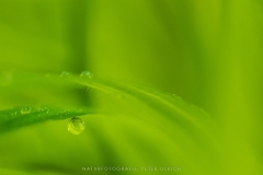 Bild 07