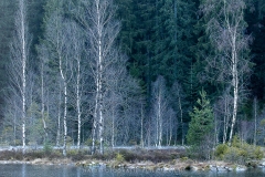 Bild 05