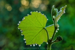 Bild 08