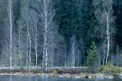Bilder-im-Flur-0406