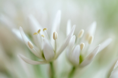 Bilder-im-Flur-0414
