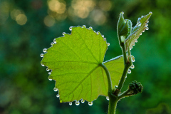 Bilder-im-Flur-114
