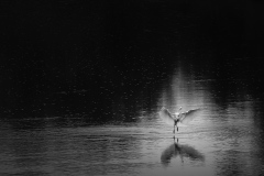 Bilder-im-Flur-2240