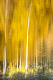 Bilder-im-Flur-3781