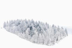 Bilder-im-Flur-7903