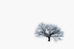 Bilder-im-Flur-8021