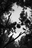 Bilder-im-Flur-8959