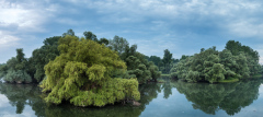 Bilder-im-Raum-1-