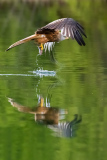 Bilder-im-Raum-2-0412