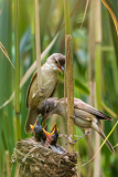 Bilder-im-Raum-2-7079