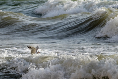 Bilder-im-Raum-2-8833