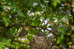 Bilder-im-Raum-2-2267-Kopie