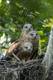 Bilder-im-Raum-2-2718-Kopie
