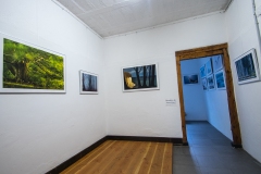 Galerie-Bachhouse-9519