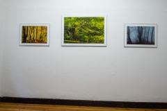 Galerie-Bachhouse-9520