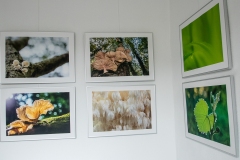 Galerie-Bachhouse-9524