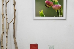 Galerie-Bachhouse-9529
