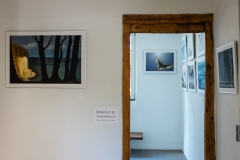 Galerie-Backhouse-9547