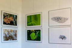 Galerie-Backhouse-9558